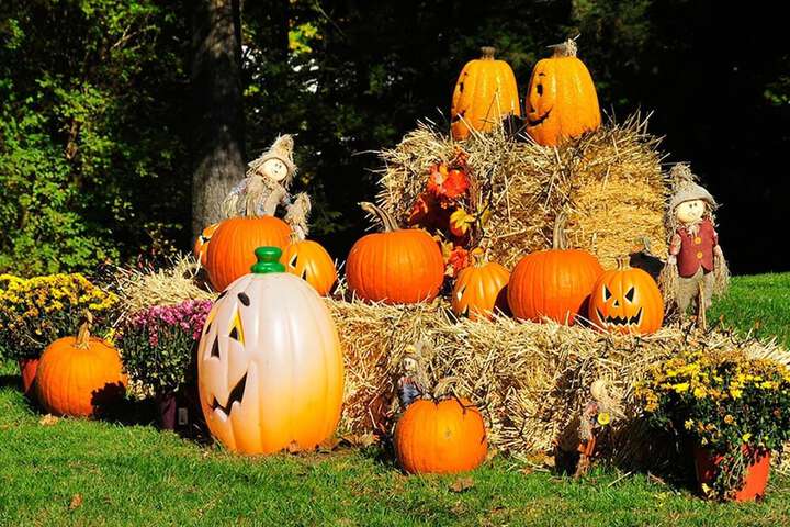 Property Grounds 34 of 49