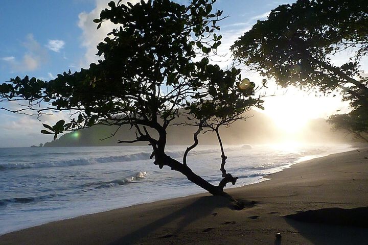Beach 44 of 49