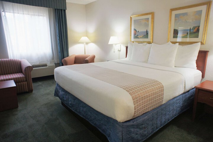 1 King Bed Mobilty Acessible Room Bathtub with Grab Bars (8 of 35)