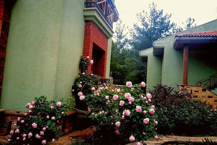 Property Grounds 34 of 51
