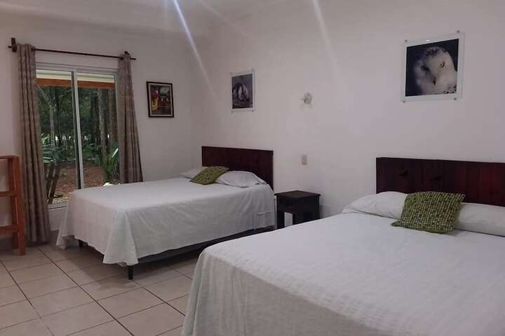 Room 7 of 37