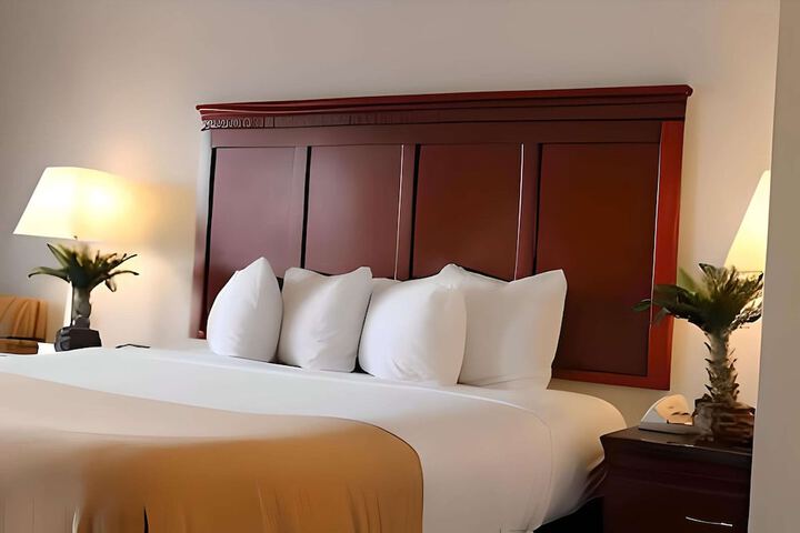 1 King Bed (3 of 5)