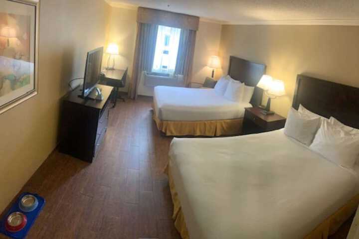 2 Queen Beds Pet Friendly Room Tile Flooring Work Desk Refrigerator WiFi Full Breakfast (9 of 18)