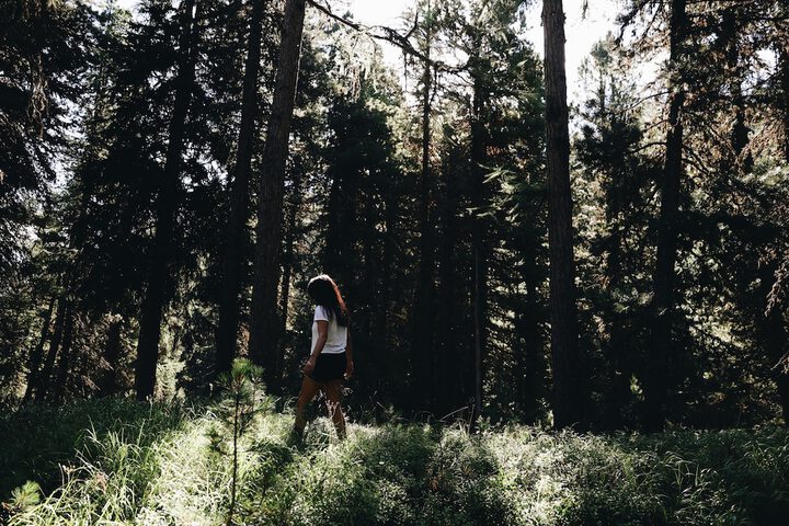 Outdoor Activities 23 of 39