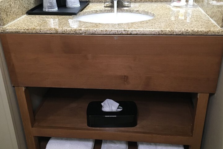 Bathroom sink