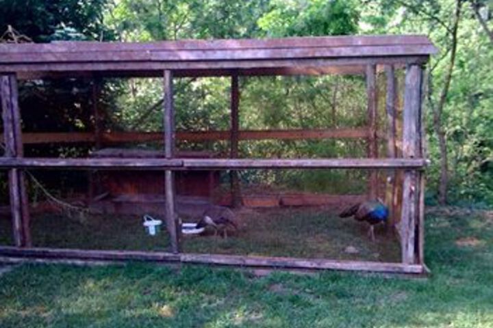 Property Grounds 20 of 23
