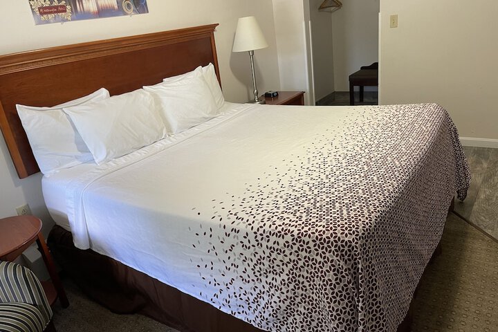 1 King Bed (2 of 11)