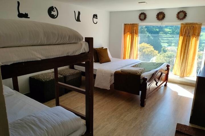 Room 6 of 55