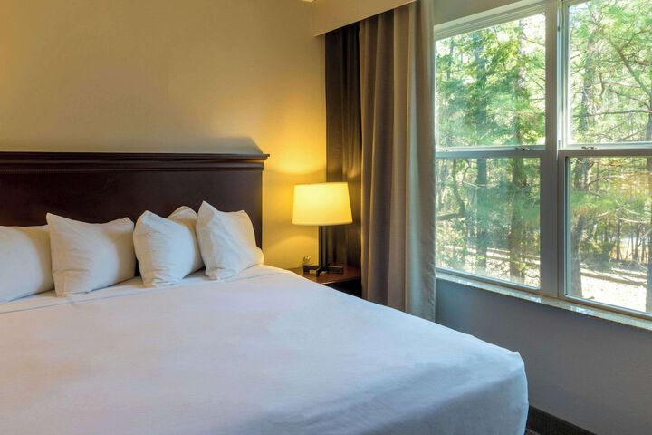 1 King Bed (3 of 13)