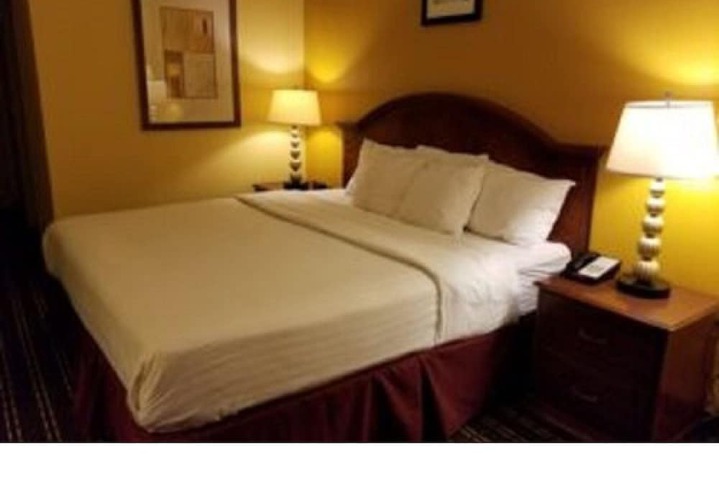 Standard | King Bed (2 of 4)