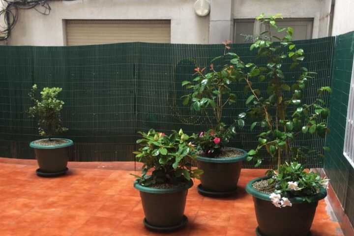 Terrace/Patio 25 of 33