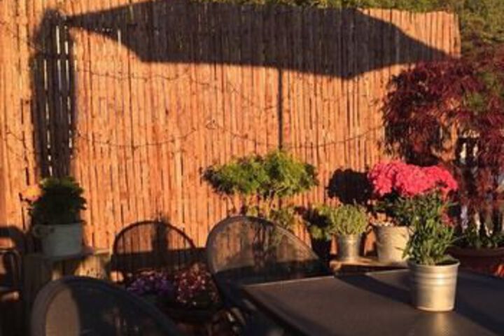 Terrace/Patio 23 of 25
