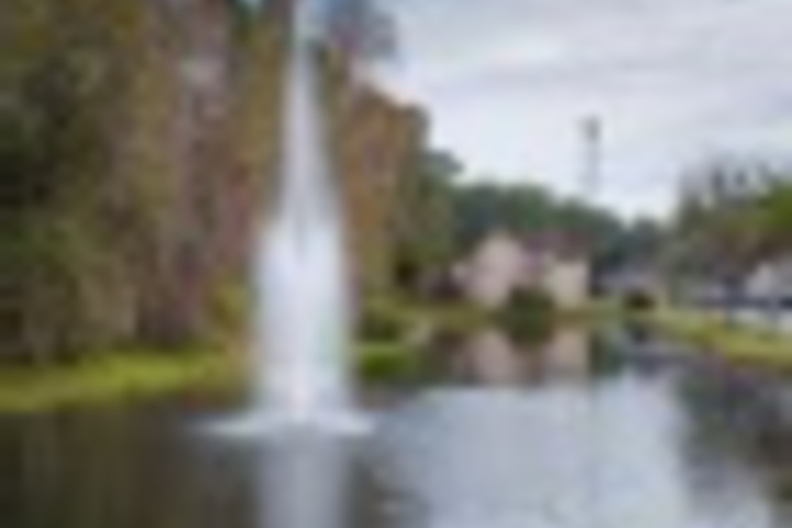 Property Grounds 3 of 24