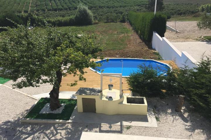 General 7 of 38