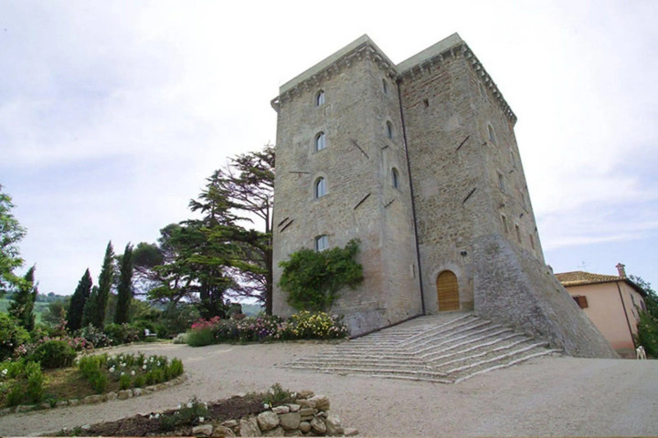 Photo 9