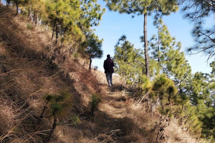Outdoor Activities 2 of 7