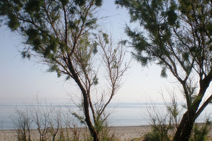 Beach 54 of 79