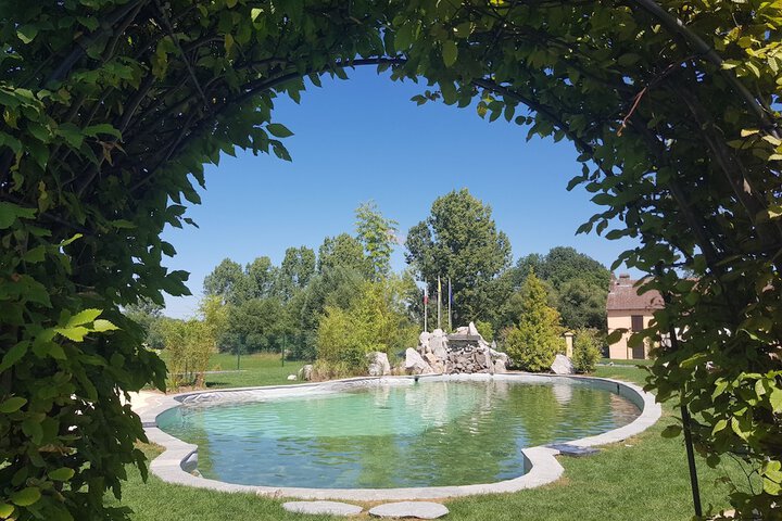 Pool to Cool