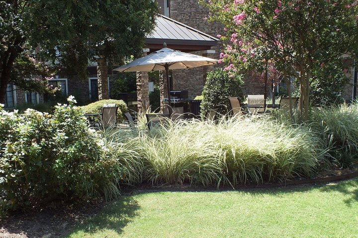BBQ/picnic area