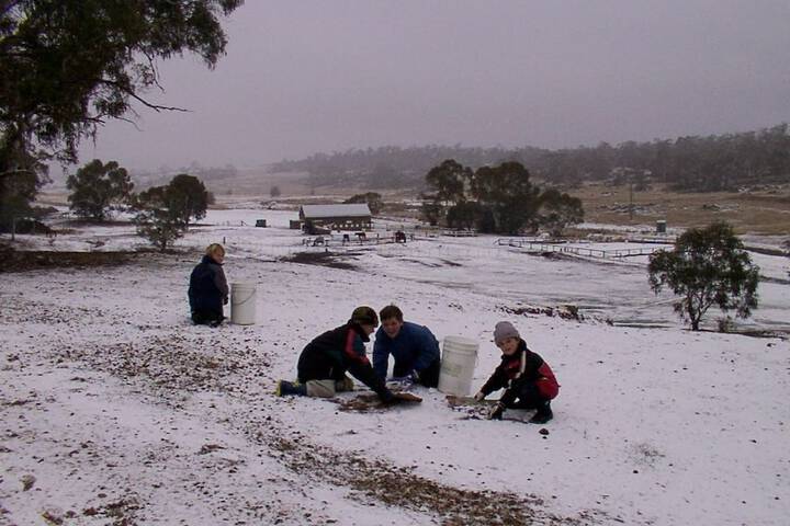 Property Grounds 32 of 44