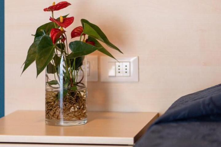 Spa and Wellness Pictures