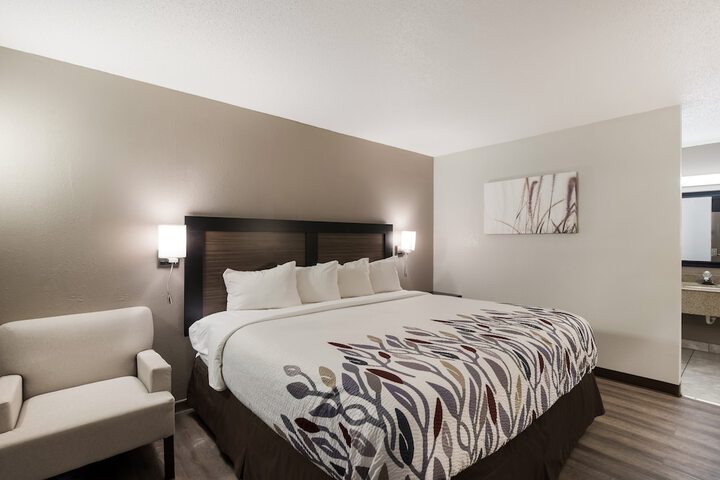 Deluxe King Bed (1 of 10)