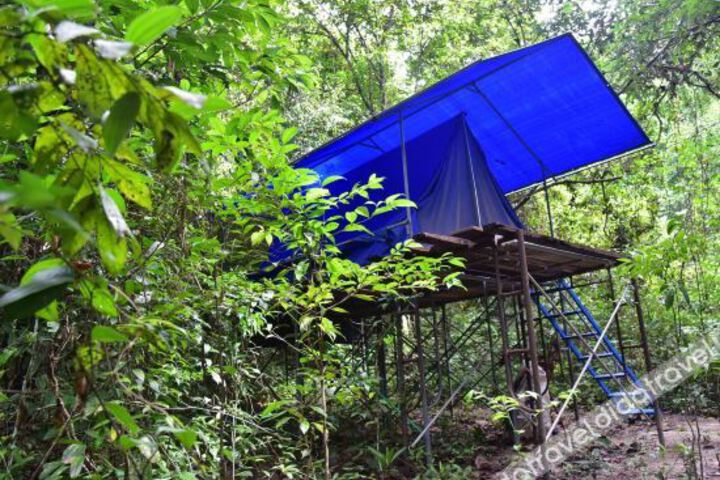 Wichais Jungle Home Stay