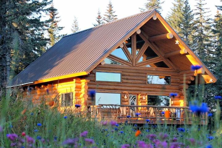 Anchor Point Captain Cook Lodge in Anchor Point, AK