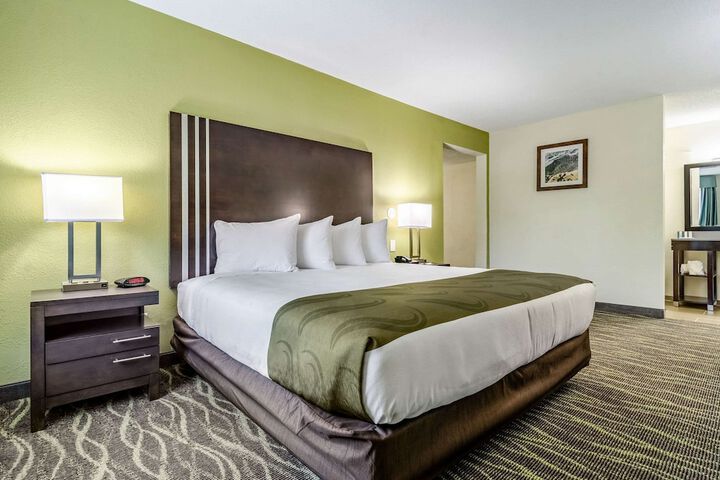 1 King Bed (8 of 9)