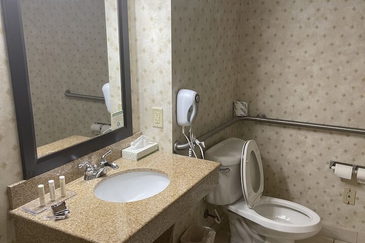 1 King Accessible with Roll in Shower (12 of 39)