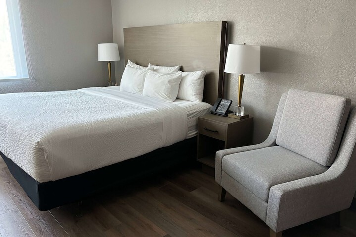 1 King Bed (7 of 13)