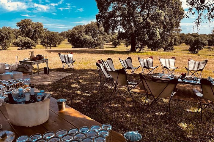 Game viewing
