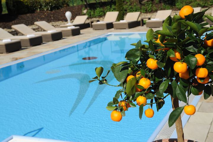 Pool 25 of 59