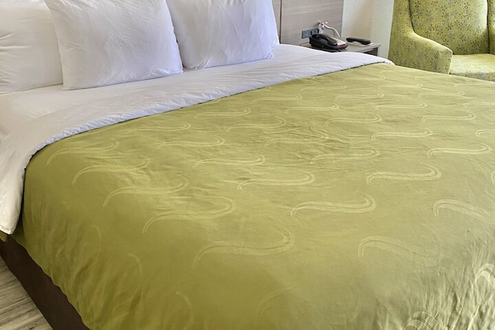 1 King Bed (8 of 9)