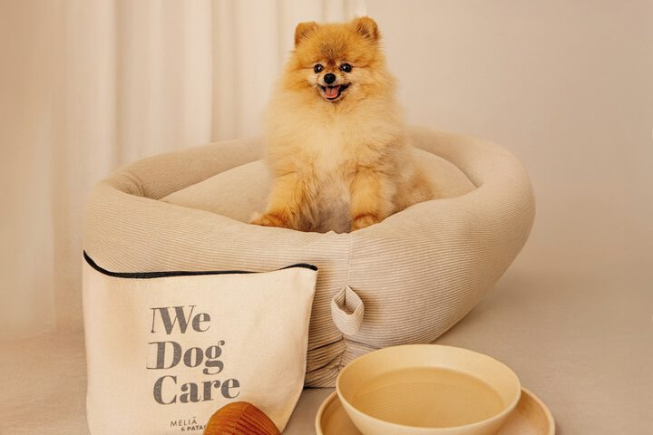 Pet Friendly 53 of 90