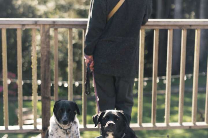 Pet Friendly 58 of 113