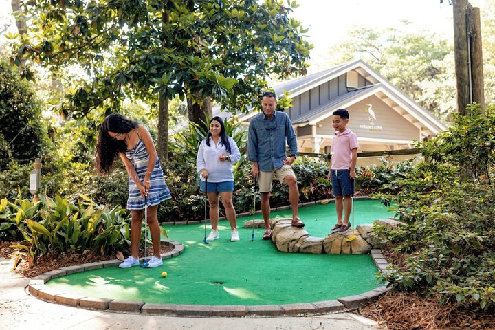 Mini-golf