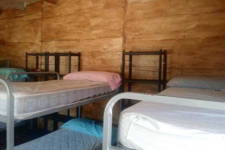 Room 14 of 52