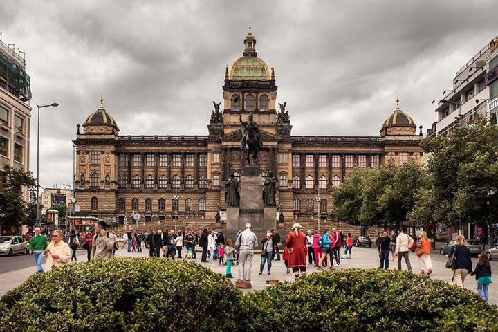 Photo of TDC33-boo