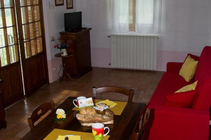 Room 20 of 42
