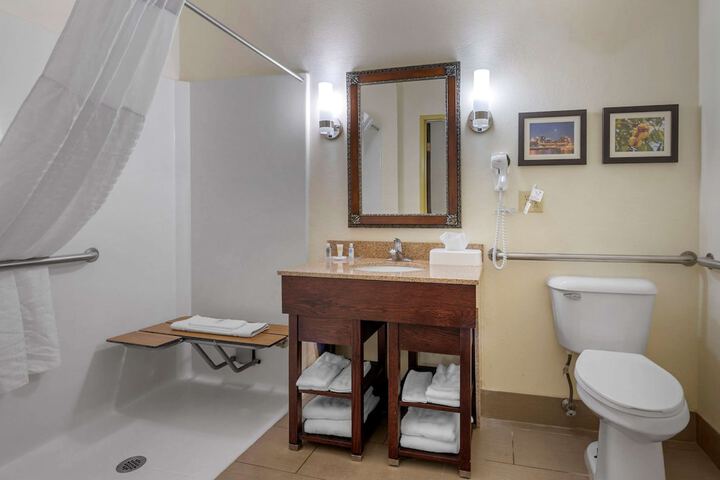 1 King Bed Suite (1 of 2)