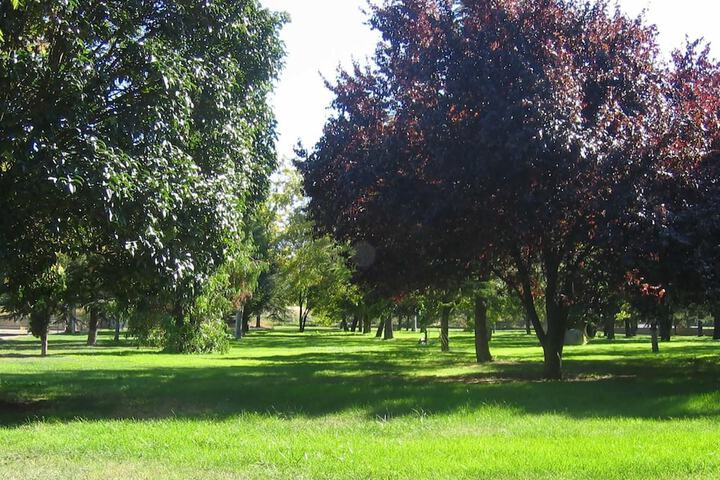 Property Grounds 19 of 41
