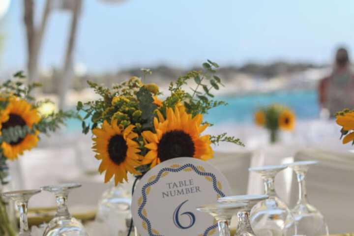Wedding/Banquet 68 of 86
