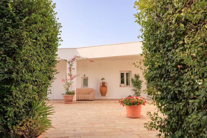 Terrace/Patio 76 of 80