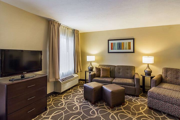 1 King Bed Suite (5 of 22)