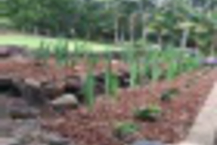 Terrace/Patio 3 of 84