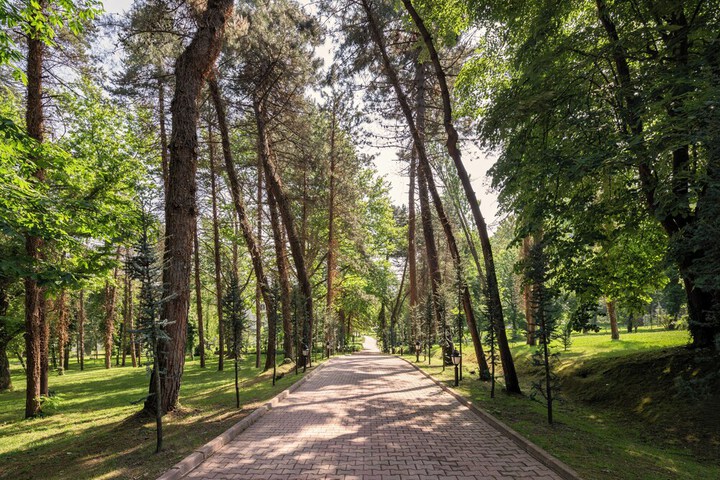 Outdoor Activities 59 of 100