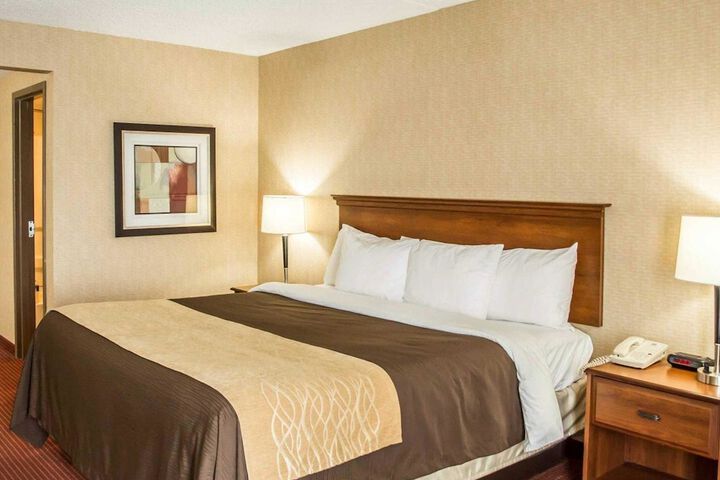 1 King Bed (4 of 10)