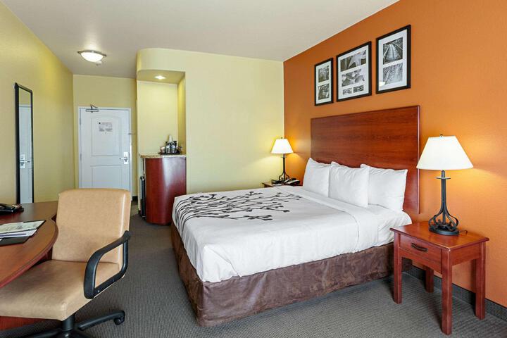 1 King Bed Accessible (22 of 24)