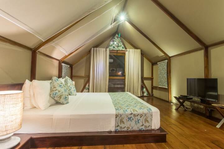 Room 15 of 21
